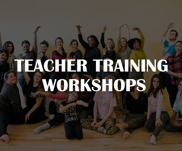 TEACHER TRAINING WORKSHOPS